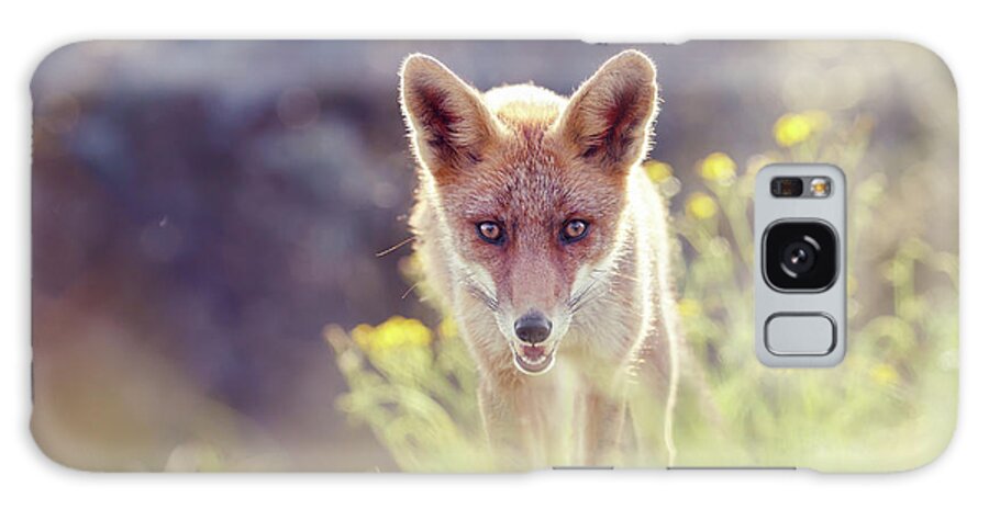 Fox Galaxy Case featuring the photograph The Fox and The Flowers #2 by Roeselien Raimond