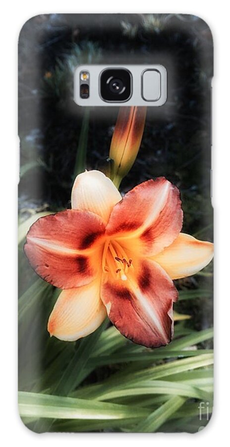 Flower Galaxy S8 Case featuring the photograph The Garden at St. Stephen's- May 2016 by Jenny Revitz Soper