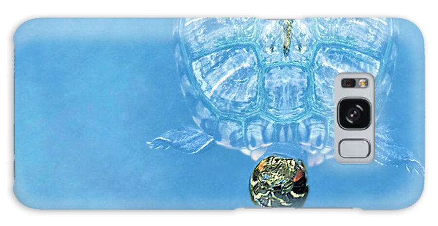 Water Galaxy Case featuring the photograph The Glass Turtle by Dianna Lynn Walker