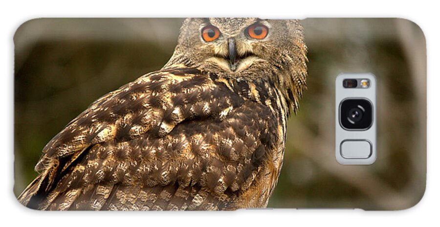 Photography Galaxy Case featuring the photograph The Great Horned Owl by Jale Fancey
