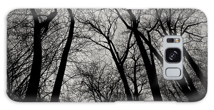 Monochrome Galaxy Case featuring the photograph The Haunt of Winter by CJ Schmit