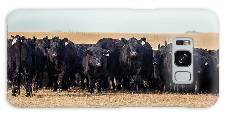 Cattle Galaxy Case featuring the photograph The Herd Rushes In by Todd Klassy