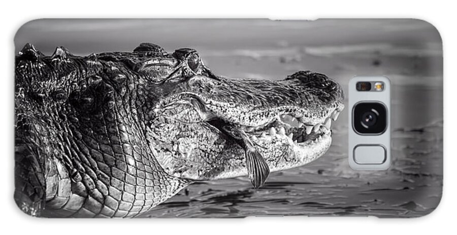 Alligator Galaxy Case featuring the photograph The Hunter Hunts by Mark Andrew Thomas