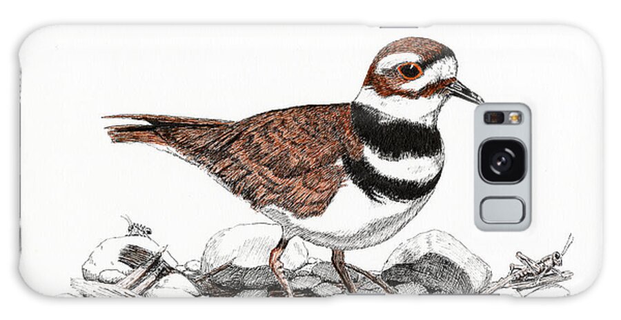 Birds Galaxy Case featuring the drawing The Killdeer by Timothy Livingston