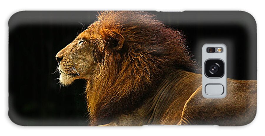 Lion Galaxy Case featuring the photograph The King by Peter Kennett
