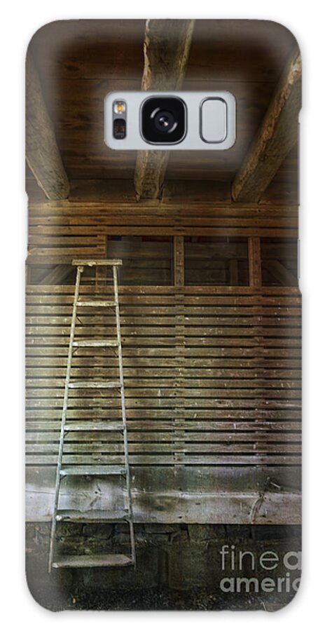Agricultural Buildings Galaxy Case featuring the photograph The Ladder by Debra Fedchin