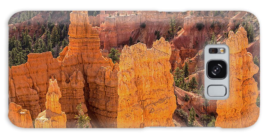 Hoodoos Galaxy Case featuring the photograph The Lair Of The Feline Hoodoo by Angelo Marcialis