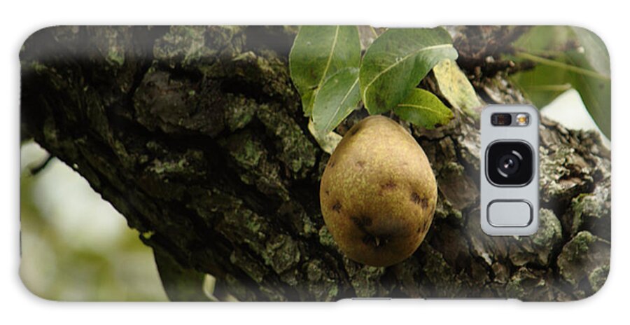 Pear Galaxy Case featuring the photograph The Last Pear by Adrian Wale