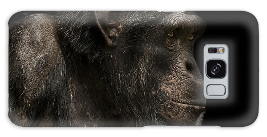 Chimpanzee Galaxy Case featuring the photograph The Listener by Paul Neville