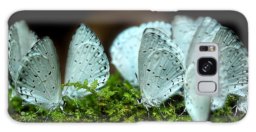 Light Blue Butterfly Galaxy Case featuring the photograph The Meeting Place by Michael Eingle