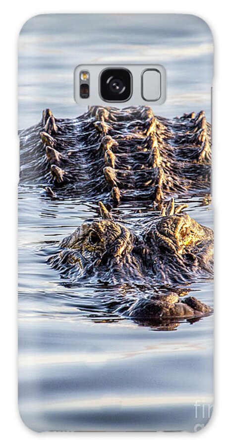 Alligator Galaxy Case featuring the photograph The Monster That Lurks by Rene Triay FineArt Photos