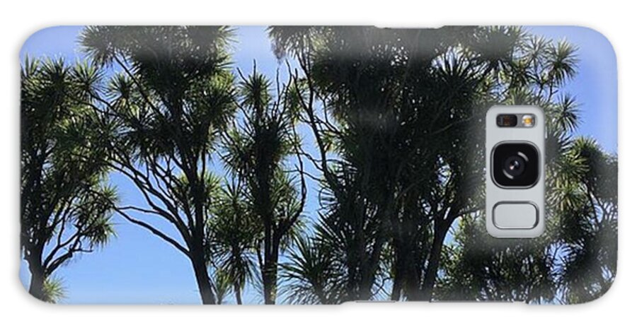 Cabbagetree Galaxy Case featuring the photograph The Old Classic #sun Behind #tree by James Alexander