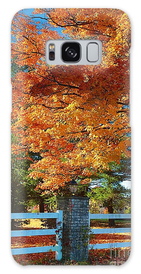 Fall Galaxy Case featuring the photograph The old yard light by Robert Pearson