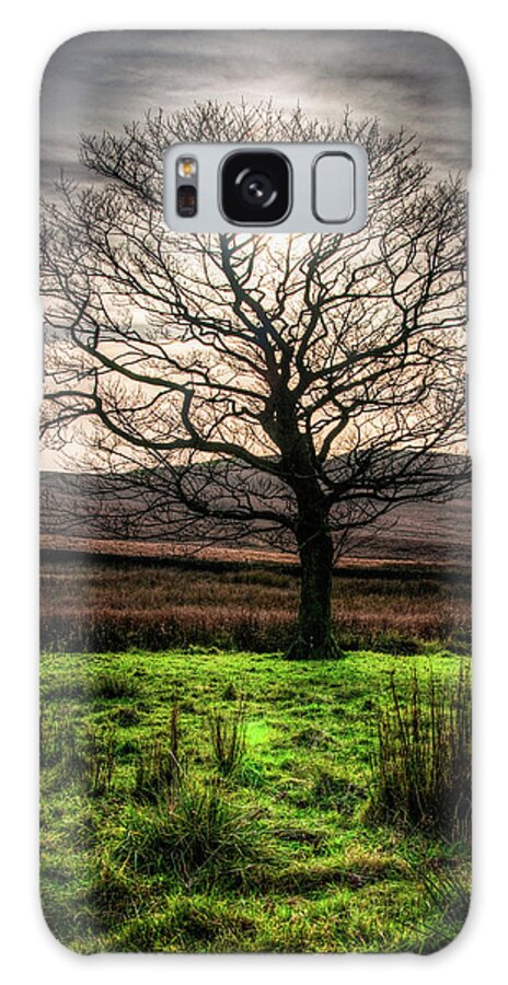 Landscape Galaxy Case featuring the photograph The One Tree by Geoff Smith