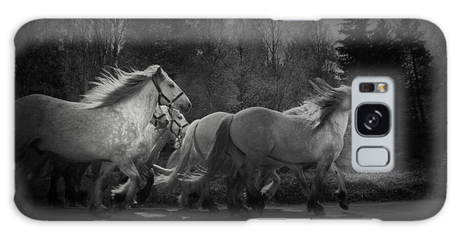 Horse Galaxy Case featuring the photograph The Queen's Horses by Dorit Fuhg