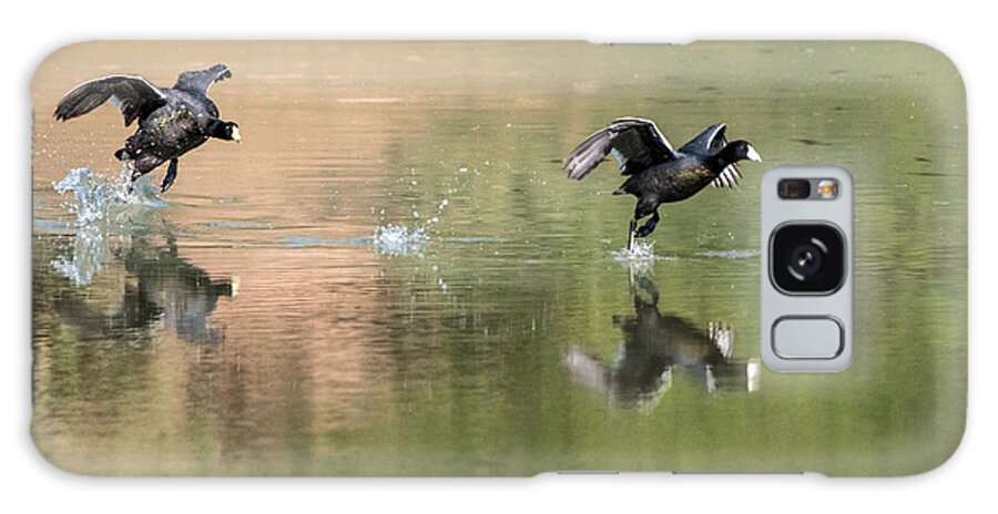 Coots Galaxy Case featuring the photograph The Race is On by Tam Ryan