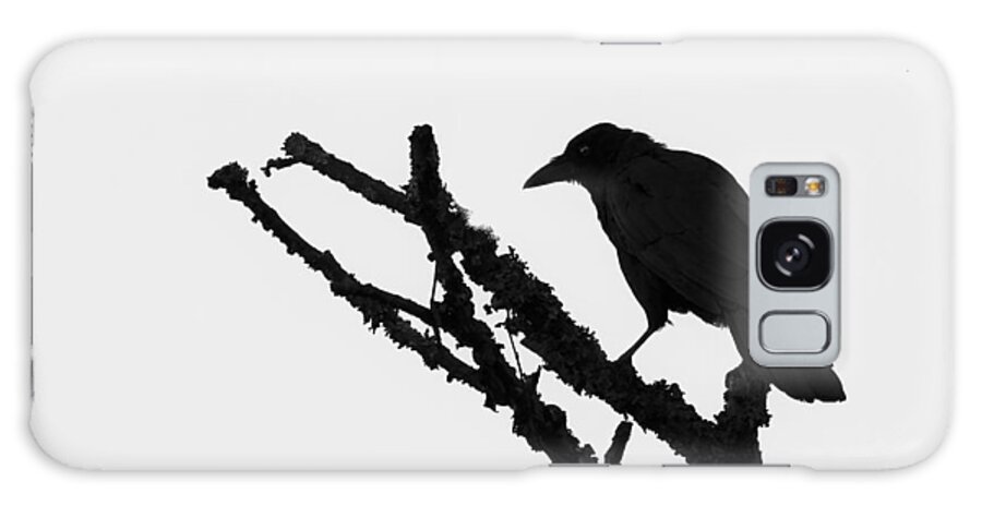 Rave Galaxy Case featuring the photograph The Raven by Ken Barrett