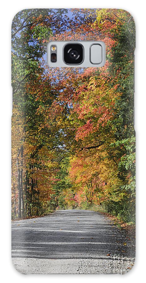 Autumn Galaxy S8 Case featuring the photograph The Road To Color by Tamara Becker