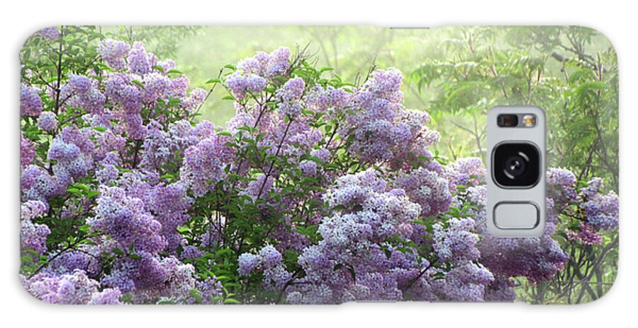 Fog Galaxy Case featuring the photograph The Scent of Lilacs by David T Wilkinson