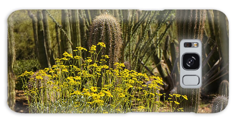 Flowers Galaxy Case featuring the photograph The Song Of The Sonoran Desert by Lucinda Walter