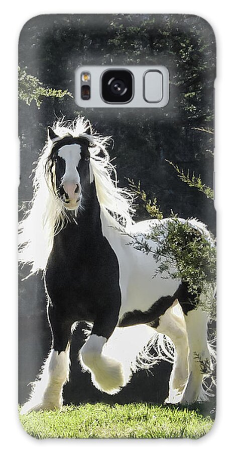 Horse Galaxy S8 Case featuring the photograph The Stunning Horse by Terry Kirkland Cook