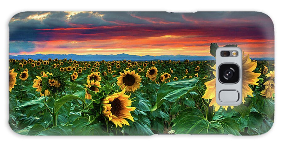 Aster Galaxy Case featuring the photograph The Summer Winds by John De Bord