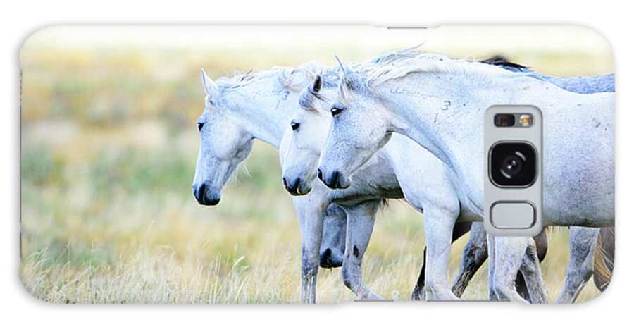 Wild Horses Galaxy Case featuring the photograph The Three Amigos by Bryan Carter