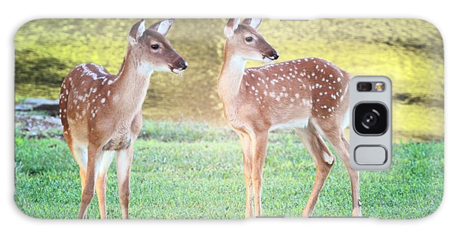 Deer Galaxy S8 Case featuring the photograph The Twins by Geraldine DeBoer