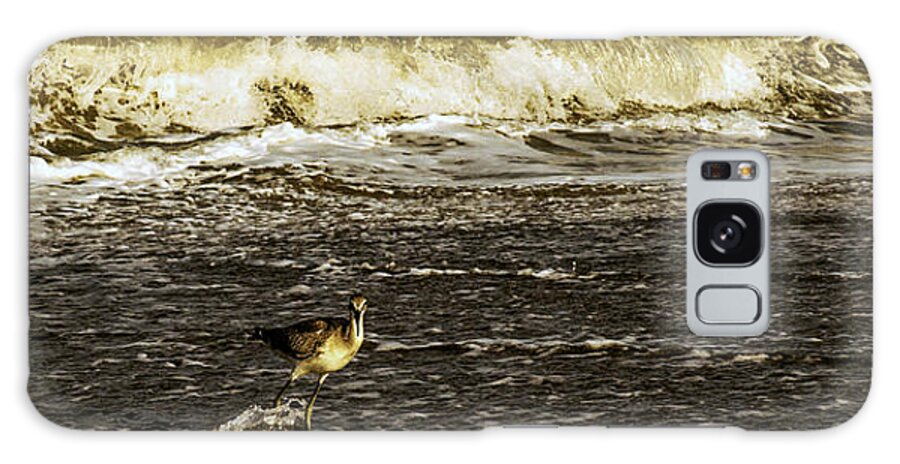 The Wading Willet Prints Galaxy Case featuring the photograph The Wading Willet by John Harding