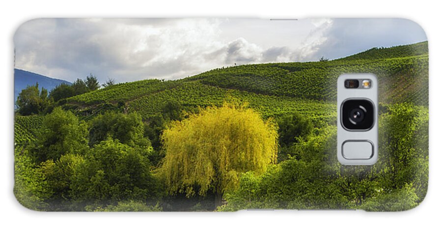 Michelle Meenawong Galaxy Case featuring the photograph the wineyards of Loc by Michelle Meenawong