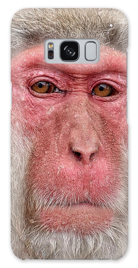 Wisdom Galaxy S8 Case featuring the photograph Wisdom by Kuni Photography