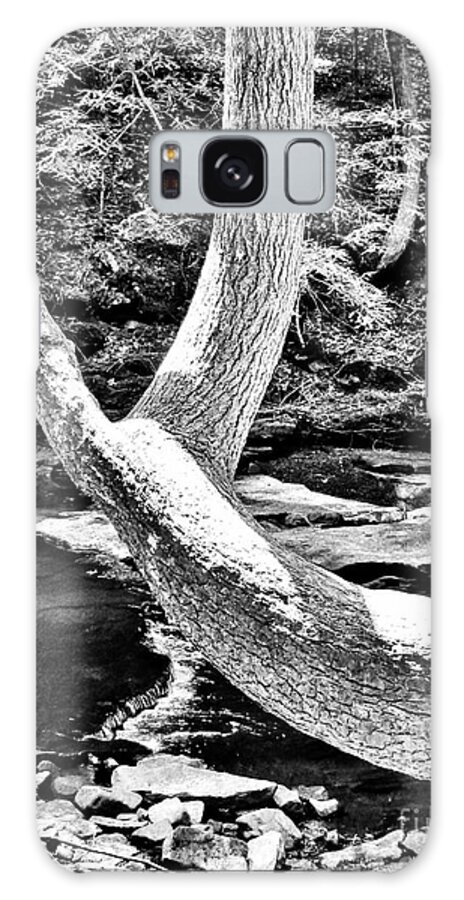 B & W Galaxy S8 Case featuring the photograph The Wishbone Tree BW by Rachel Hannah