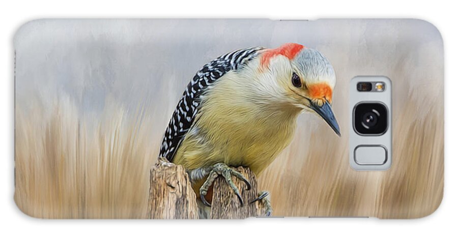 Woodpecker Galaxy Case featuring the photograph The Woodpecker by Cathy Kovarik