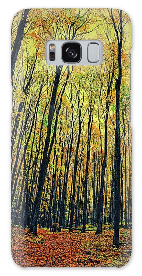 Green Galaxy Case featuring the photograph The Woods in the North by Michelle Calkins