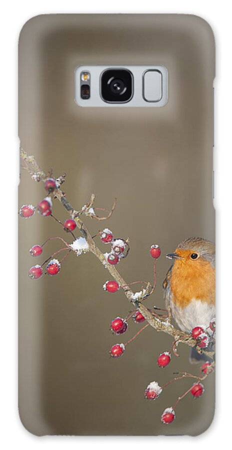 Robin Galaxy Case featuring the photograph They're All Mine by Andy Astbury