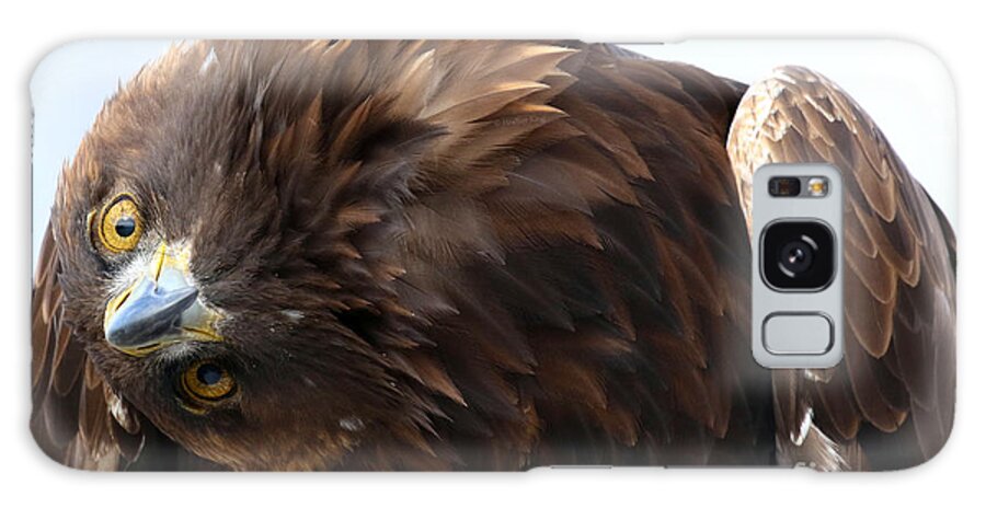 Bald Eagle Galaxy Case featuring the photograph Things look better from this angle by Heather King