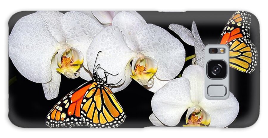  Galaxy Case featuring the photograph Thirsty Butterflies by Patrick Witz