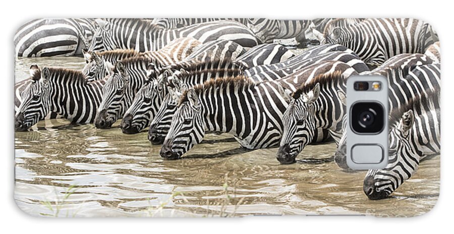 Wildlife Galaxy Case featuring the photograph Thirsty Zebras by Pravine Chester