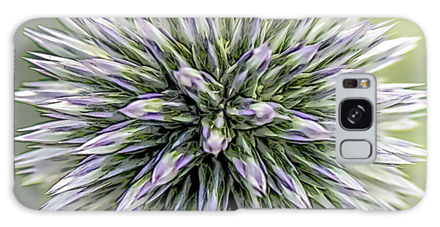Nature Galaxy Case featuring the photograph Thistle II by Robert Mitchell
