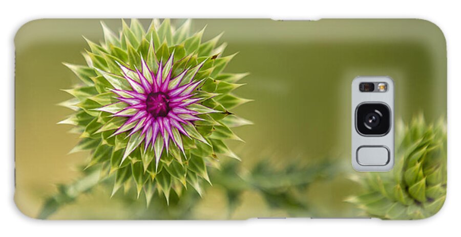 Thistle Galaxy Case featuring the photograph ThistleWorks by Bill and Linda Tiepelman