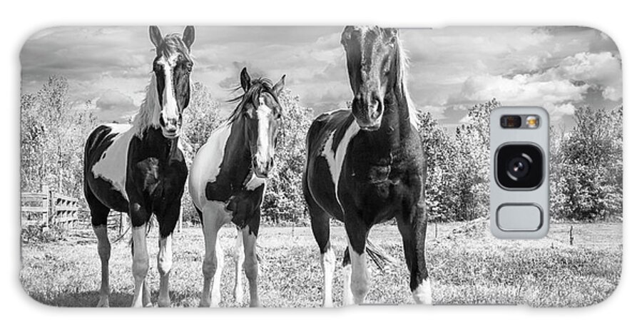 Horses Galaxy Case featuring the photograph Three Amigos by Holly Ross