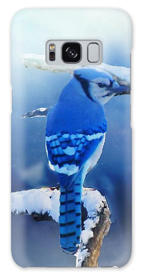 Bluejay Galaxy Case featuring the photograph Three Bluejays in Winter by Janette Boyd