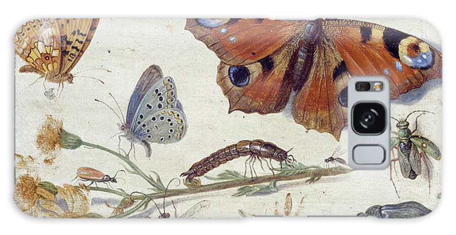 Butterfly Galaxy Case featuring the painting Three Butterflies, a Beetle and other Insects, with a Cutting of Ragwort by Jan Van Kessel