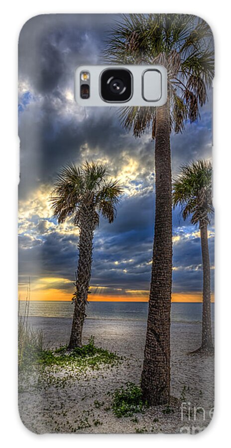Clouds Galaxy Case featuring the photograph Three Palm Stew by Marvin Spates