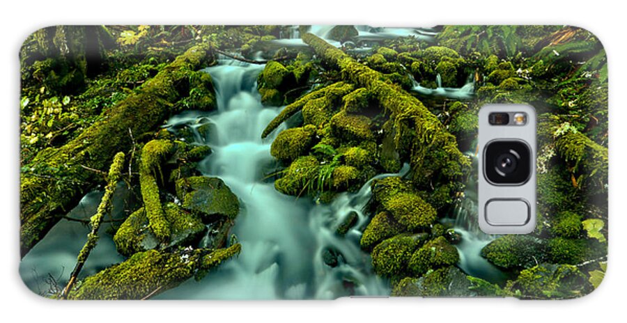 Olympic National Park Galaxy Case featuring the photograph Through Moss Covered Boulders And Logs by Adam Jewell