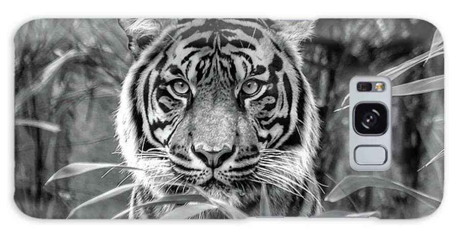 Tiger Galaxy Case featuring the photograph Tiger b/w by Ronda Ryan
