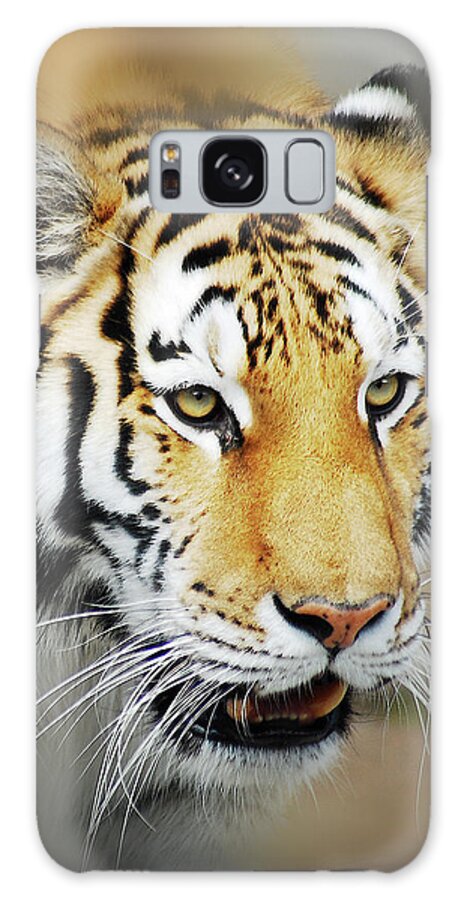 Yellow Galaxy Case featuring the photograph Tiger Eyes by Michael Peychich