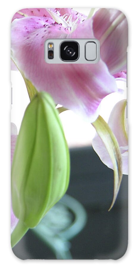 Photography Galaxy S8 Case featuring the photograph Tiger Lily bud by Julianne Felton