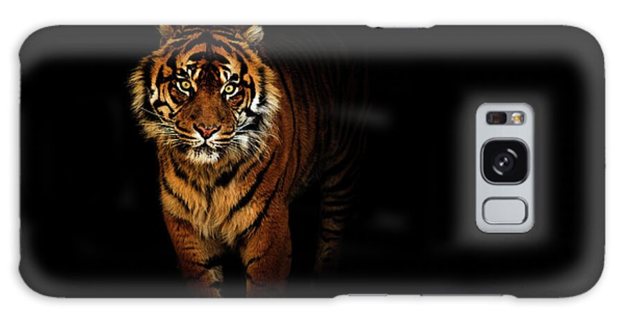 Contemporary Galaxy Case featuring the photograph Tiger on a black background by Tim Abeln