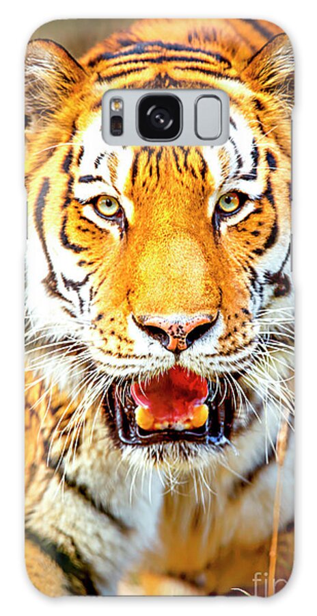 Tiger Art Galaxy Case featuring the photograph Tiger Art A Beautiful and Powerful Rendering of This Iconic Animal by David Millenheft